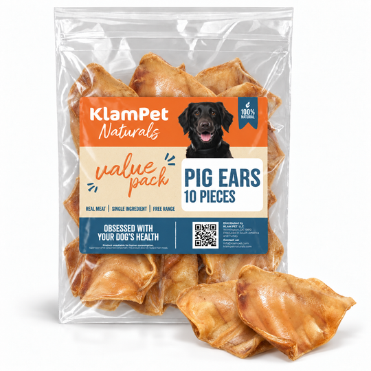 Pig Ear