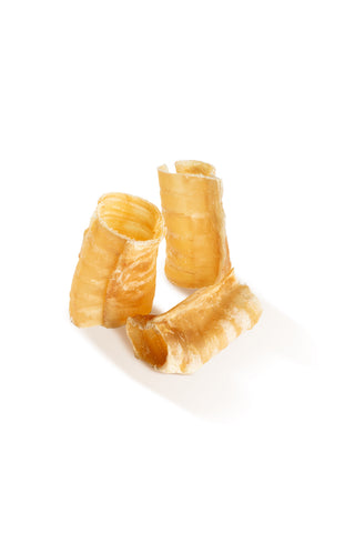 Small Trachea