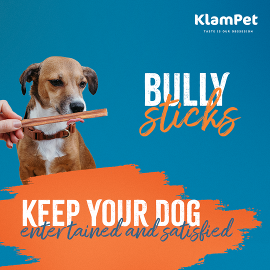 Bully Stick 12" alternate view