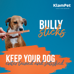 Bully Stick 12"