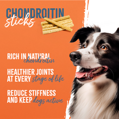 Chondroitin Sticks 6"
