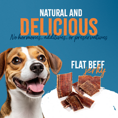 Flat Beef Jerky 6"