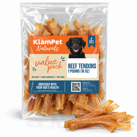 Beef Tendon