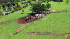 Flat Beef Jerky 6"